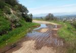 rain water